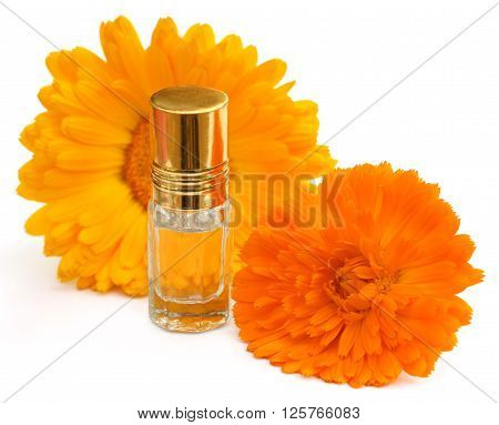 Closeup of calendula with essence bottle over white background