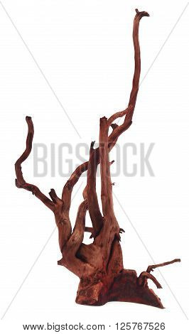 Close up of bogwood over white background