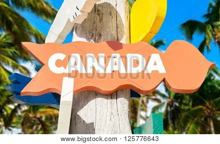 Canada signpost with palm trees