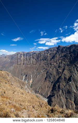 The canyon Colca is the deepest in the world