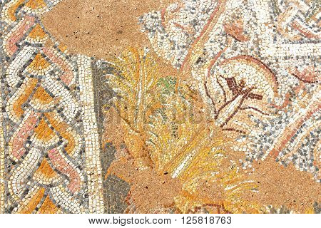 DION, GREECE - SEPTEMBER 10, 2013: Ancient Greek mocaic in palaestra of Dion, Pieria, Greece