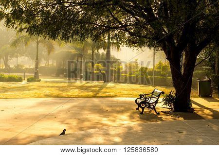 Sunlit bench in the early morning in the shade of a tree with slight fog around
** Note: Soft Focus at 100%, best at smaller sizes