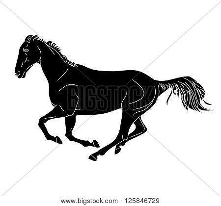 Graphic image of a galloping horse. Black outline horse on a white background. Vector illustration