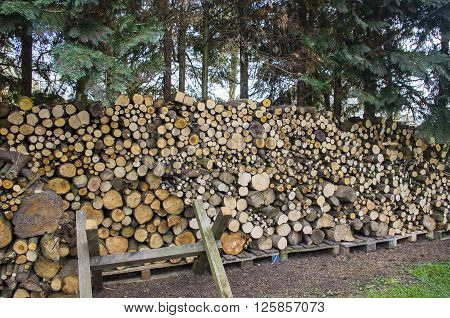 Firewood stacked neatly on some palettes. Germany.