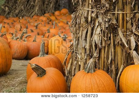 Calabazas