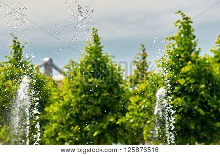 fountain about Pedestrian park Muzeon Arts. Moskow. Russia. focus is on first jet