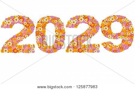 New year 2029 made from straw flowers isolated on white background
