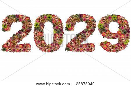 New year 2029 made from bromeliad flowers isolated on white background