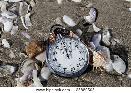 Scallops And Chronometer