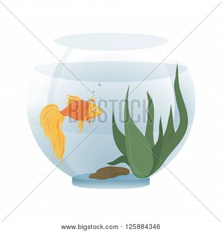Cartoon goldfish in an aquarium on a white background - vector illustration