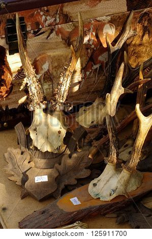 Roebucks trophies collection  flea market  decorative objects animals theme.