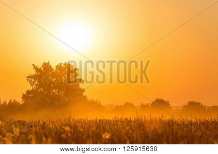 Orange sunset over harvest field in Rusia