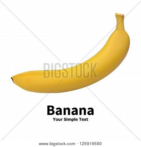 Vector illustration of realistic banana fruit isolated on a white background with an inscription.