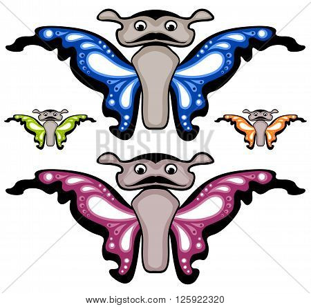 Colorful variations of butterfly. Isolated on white background