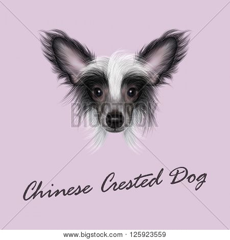 Cute face of wonderful bicolor domestic dog on pink background.