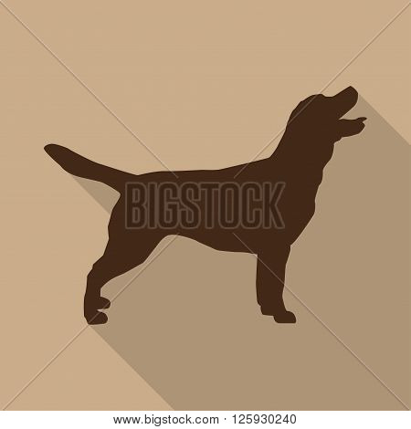 Icon dog in brown on a biege background in a flat design