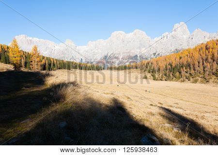 Autumn landscape from italian Alps. Yellow trees. Beautiful dolomites view