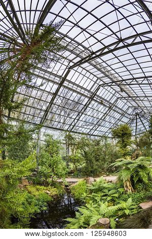 Beautiful Tropical  Exhibition In Palmengarten In Frankfurt