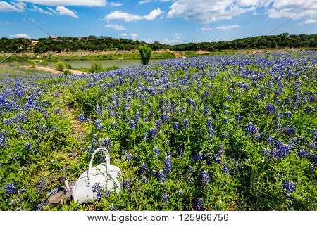 Kids Purse And Shoes In Field Of Texas Bluebonnet Wildflowers On River