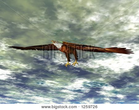 Adler