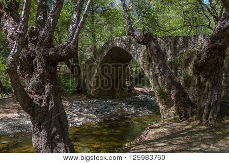 Tzelefos Picturesque Medieval Bridge in Troodos, Cyprus surrounded by old forest trees