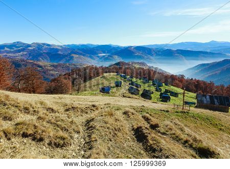 Morning Fog In Autumn Carpathian.