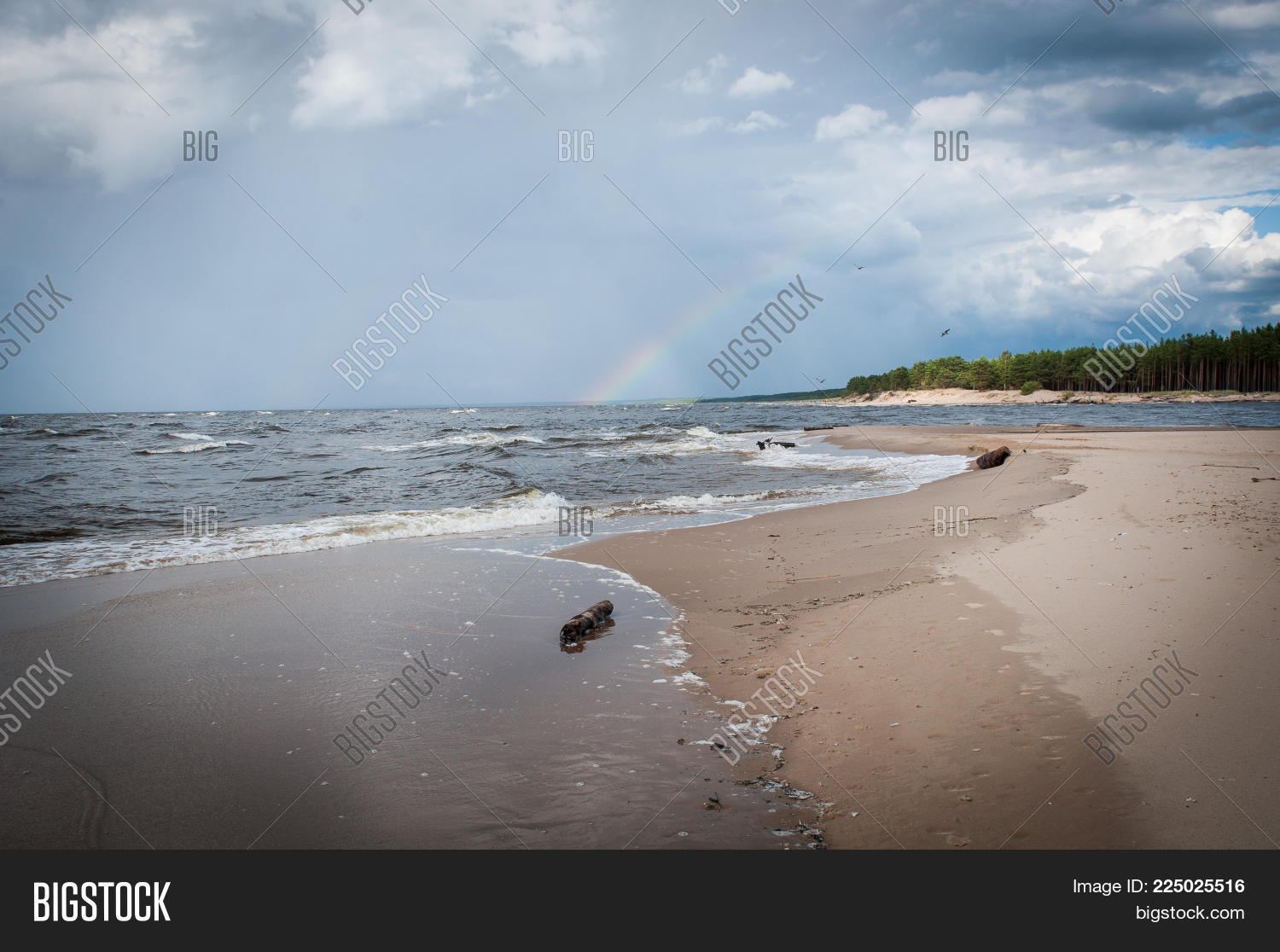 Image Preview