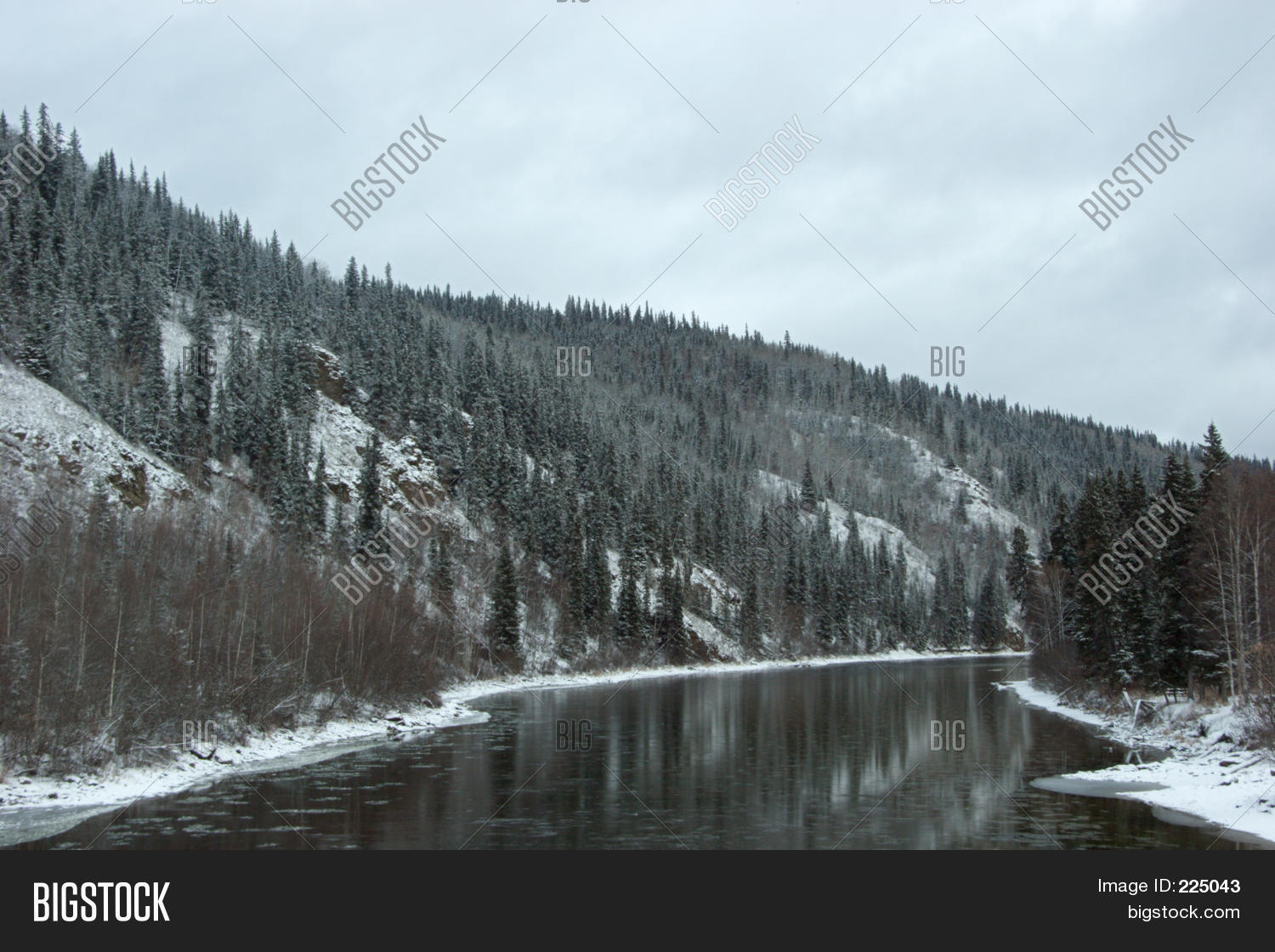 Image Preview