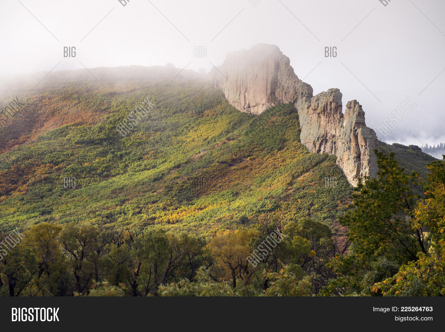 Image Preview