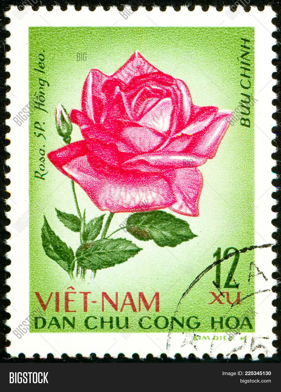 Image Preview