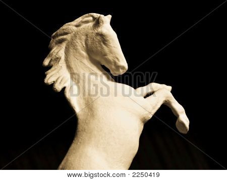 Kůň