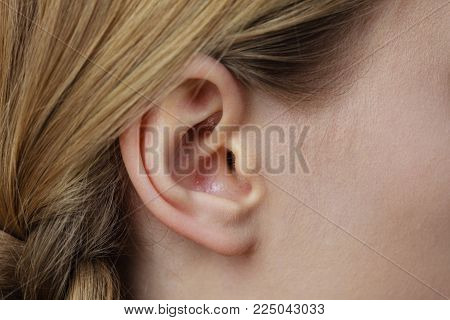 Detail of the head with female human ear and blonde braid hair, close up