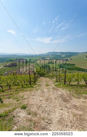Beautiful Italian Landscape. Vineyards From Langhe Region,italy Agriculture. Unesco World Heritage S