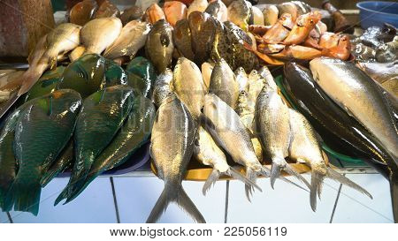 Fresh fish in Asian market. Sale of fresh sea fish in the Asian public store. Sea fish lying on the shopboard at one of the street markets. Philippines.