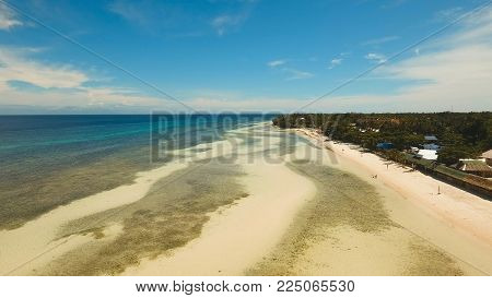 Aerial view of tropical beach on the island Bohol, Anda area, Philippines. Beautiful tropical island with sand beach, palm trees. Tropical landscape: beach with palm trees. Seascape: Ocean, sky, sea. Travel concept.