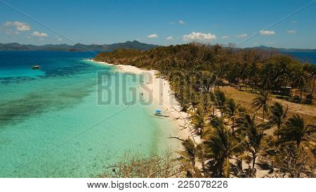 Aerial view of tropical beach on the island Malcapuya, Palawan, Philippines. Beautiful tropical island with sand beach, palm trees. Tropical landscape: beach with palm trees. Seascape: Ocean, sky, sea. Travel concept.