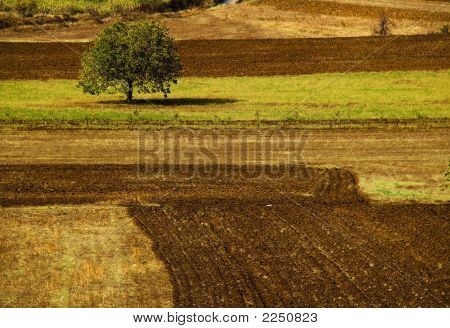 Paesaggio