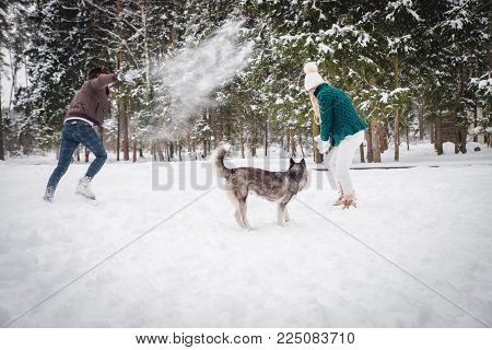 Dog making huge snow splashes running through drifts