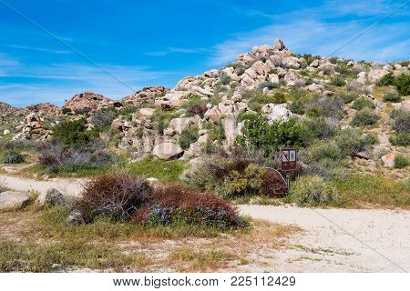 A trail at Anza-Borrego Desert State park, located in eastern San Diego County, and billed as California's largest state park.