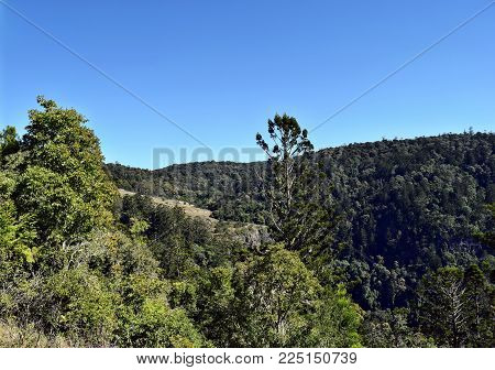 Landscape In Bunya National Park