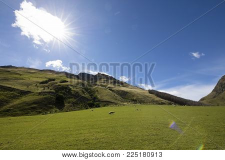 Moke Lake And Surrounds, Queenstown, New Zealand