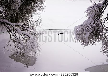 mixed forest in the Kolomenskoye estate after snowfall in Moscow, Russia