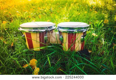 Bongos - drums on grass, music instrument