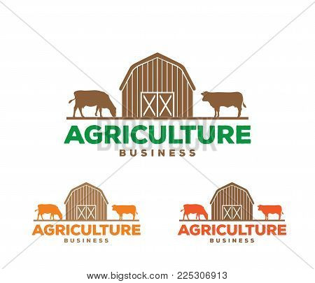 Vector Logo Design Vector Photo Free Trial Bigstock