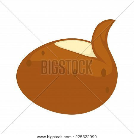Potato vegetable vector flat isolated icon. Whole potato tuber in peel with peeled skin for potato food or vegetarian and vegan cooking ingredient design template