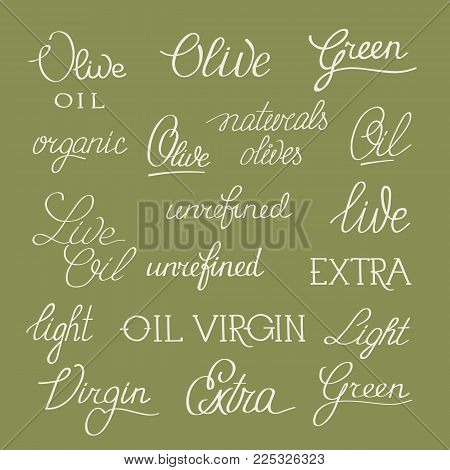 Olive and white original stylish poster with beautiful writing words such as unrefined extra virgin olive oil and naturals olives vector illustration