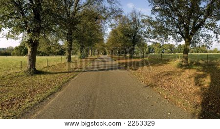 Land vognbane