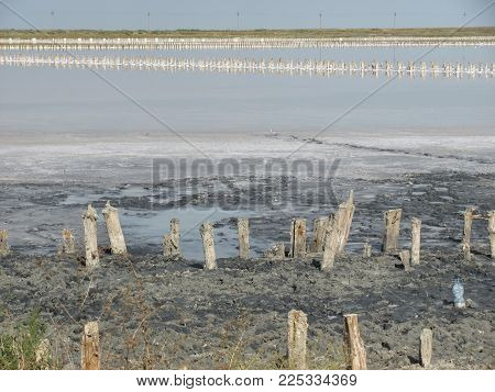 view on white salt gulf Sivash, Crimea
