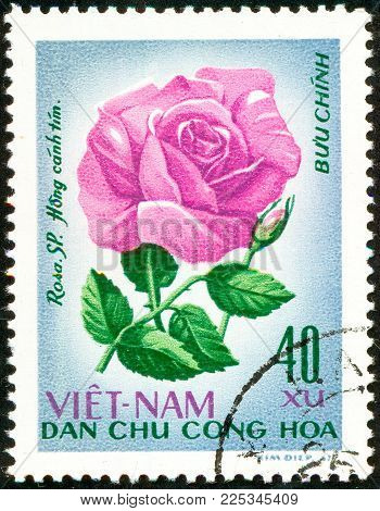 Ukraine - circa 2018: A postage stamp printed in Vietnam show Lilac rose or Rosa hybr-rosaceae. Series: Roses. Circa 1968.