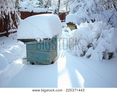 Trees, beehives and shrubs in a garden covered with massive snow, focus in the foreground